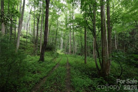 Tbd Blowing Rock Road