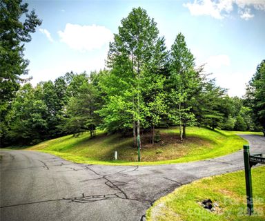 00 Fallen Tree Lane active home in Lake Adger, Mill Spring, NC
