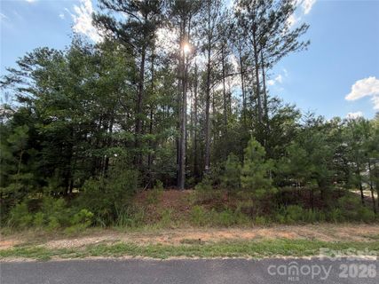 Homes in Rustic Creek, Waxhaw