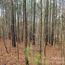 225 Cove Wood Drive