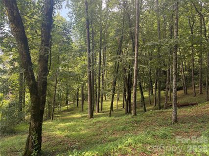 89 Split Rock Trail