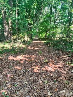 Red Yam Farm Road