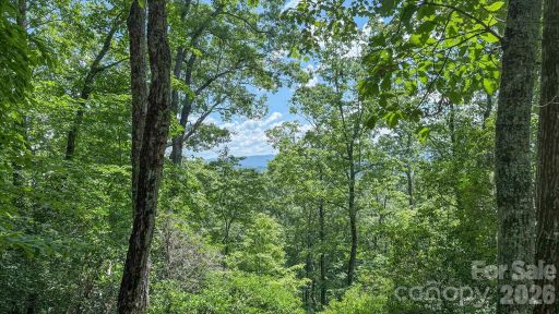 Tbd Stone Drive active home in Deerlake Village, Brevard, NC