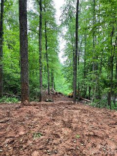 533 Enchanted Forest Drive