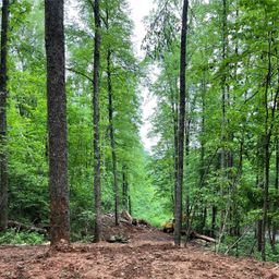 533 Enchanted Forest Drive