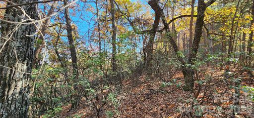 Lot 22 A Pinnacle Parkway