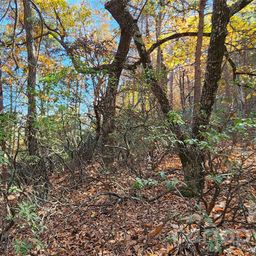 Lot 22 A Pinnacle Parkway