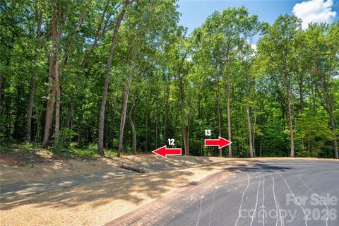 6220 Pineside Drive pending home in The Preserve At Grassy Creek, Denver, NC