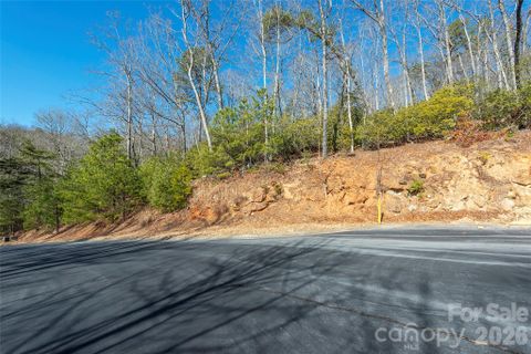 99999 Caddis Lane active home in Homestead At Mills River, Horse Shoe, NC