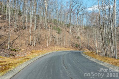 Lot 11 Shining Rock Path