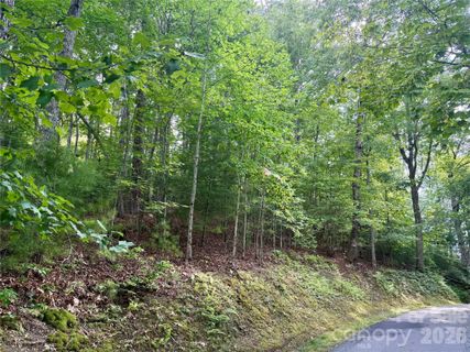 75 Longview Court active home in French Broad Crossing, Marshall, NC