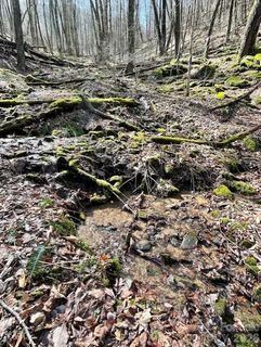 106 Avalon Gap Trail