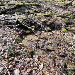 106 Avalon Gap Trail