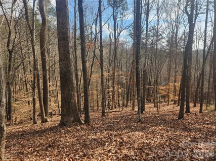 Lot 83 Walnut Lane