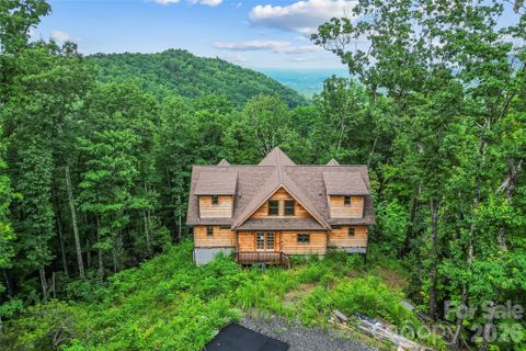 266 Potomac Falls Drive active home in Catawba Falls Preserve, Black Mountain, NC