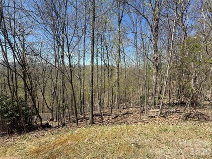 24 Elk Mountain Loop