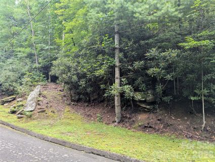 99999 Maryland Place active home in Mountain Retreat, Montreat, NC