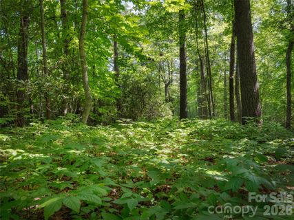 Lot 161 Eagle Lake Drive