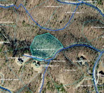 230 White Rapid Road active home in French Broad Crossing, Marshall, NC