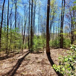 Lot 9 Hemlock Falls Drive