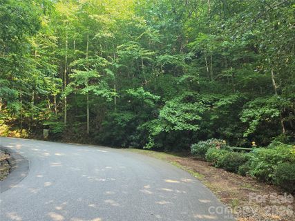 Tbd Henry Dingus Way active home in Campbell Woods, Maggie Valley, NC