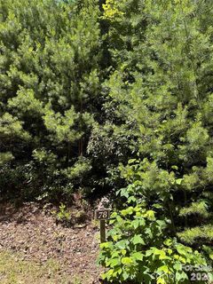 66 Boone Cove Road active home in Pinnacle Falls, Zirconia, NC