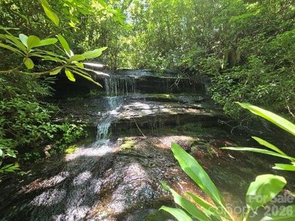 100 101 Ellicott Gap None sold home in Indian Camp Mountain, Rosman, NC