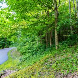 Lot 30 Finlaystone Trace