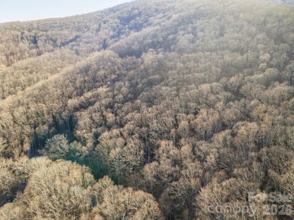 00 Wildflower Cove Road active home in Alpine Mountain, Swannanoa, NC