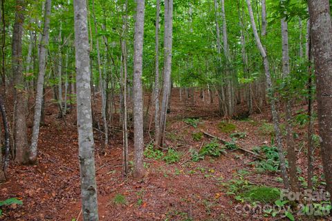 0 Creekside Circle active home in Clearwater Creek, Rutherfordton, NC