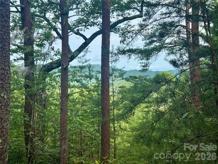 V L Tahawus Drive active home in South Mountain Peaks, Bostic, NC