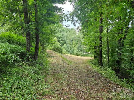 Homes in Crystal Tree, Waynesville