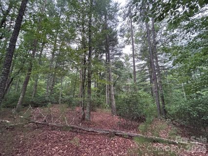 59 Captains Drive pending home in The Arbor At Lake James, Nebo, NC