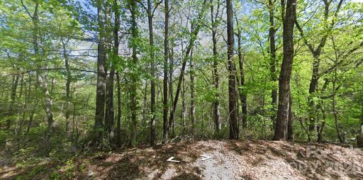 0 Buzzards Place active home in Riverbend At Lake Lure, Lake Lure, NC