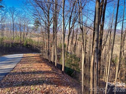 Lot 114 High Pines Loop active home in Vista At Bills Mountain, Lake Lure, NC