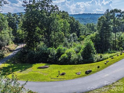 52 Lemongrass Trail active home in The Boulders, Hendersonville, NC