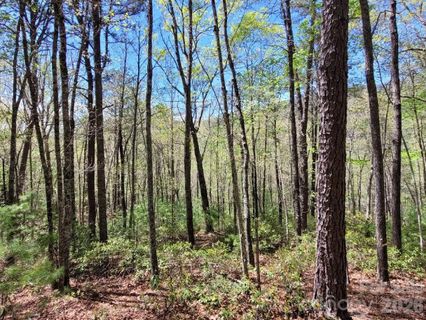 Lot 21 Little Fox Run active home in Fox Ridge, Marion, NC