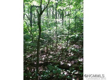 Tbd Hawk Ridge 2 77Acre sold home in Saddle Ridge, Asheville, NC
