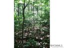 Tbd Hawk Ridge 2 77Acre sold home in Asheville, SC