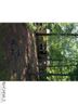 18 Clement Drive sold home in Asheville, SC
