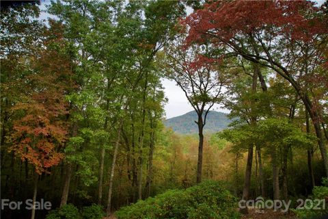 105 Misty Valley Parkway 4-8