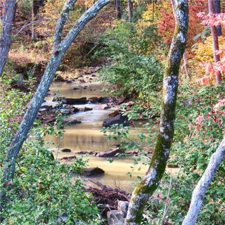 410 Swift Creek Cove