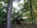 106 Nimbus Lane sold home in Laurel Park, SC