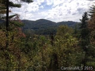 9999 Black Oak Drive 23 sold home in The Forest, Asheville, NC