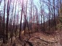 Lot 2 Sec 4 Parchment Lane sold home in Sylva, SC