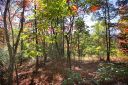 Lot 83 Oak Laurel Road sold home in Brevard, SC