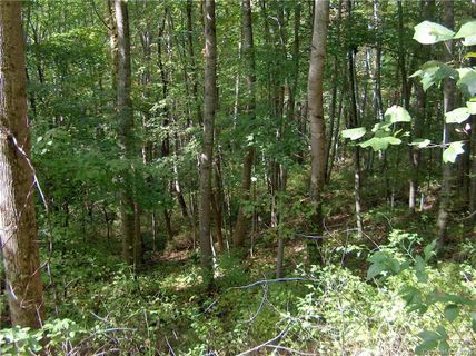 Lot 25 Spring Valley Drive