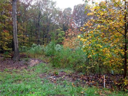 Lot 17 Pimlico Lane