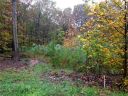 Lot 17 Pimlico Lane sold home in Waxhaw, SC