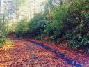 00 Dogwood Mountain Road sold home in Penrose, SC